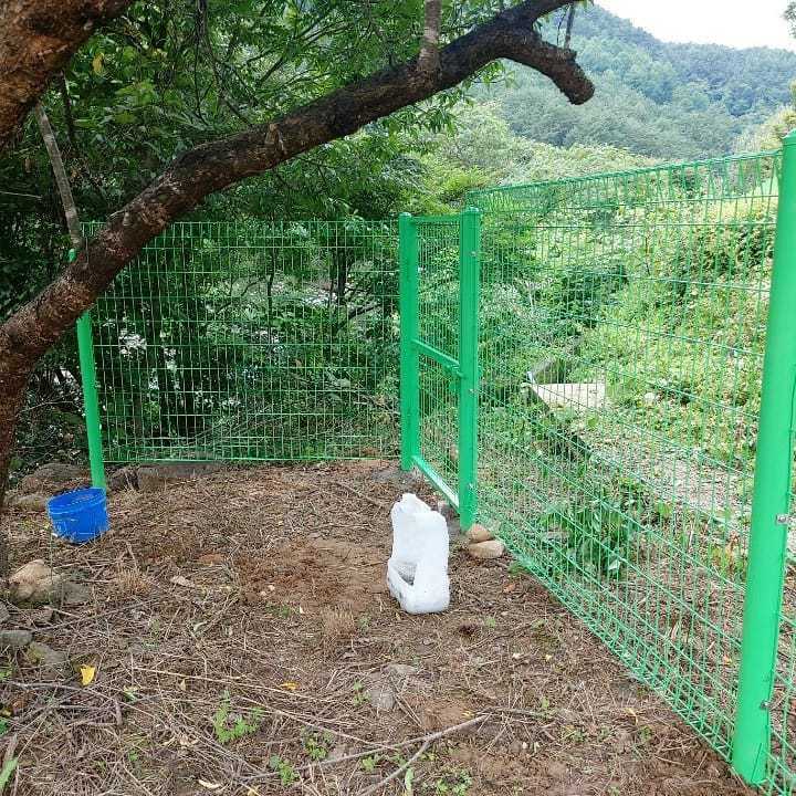 연두 메쉬휀스 + 메쉬쌍문 입니다.